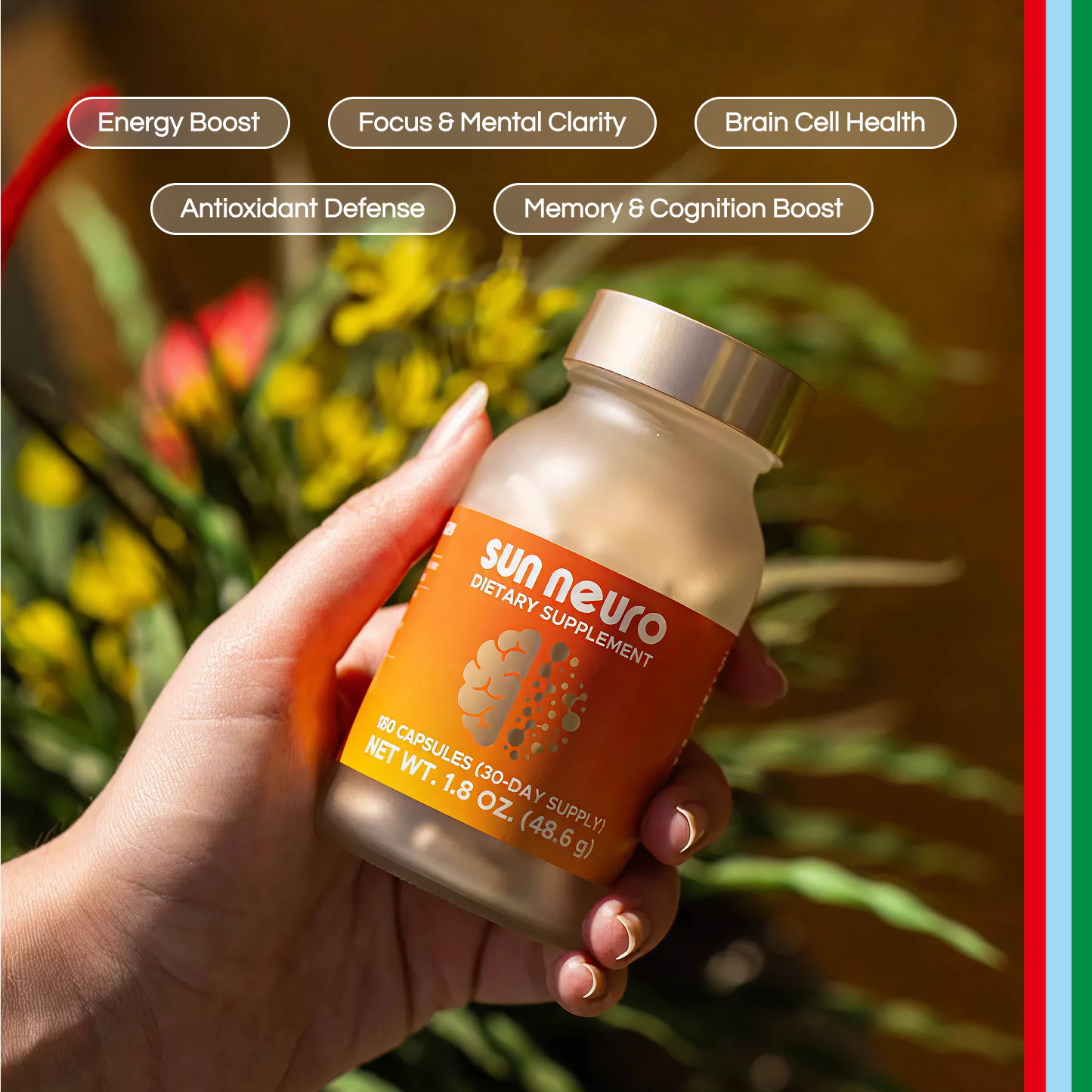 Sun Neuro (180 capsules) – Sun Chlorella USA