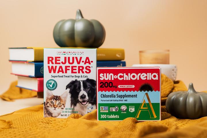 Rejuv-a-wafer and Chlorella tablets products displayed in a fall theme