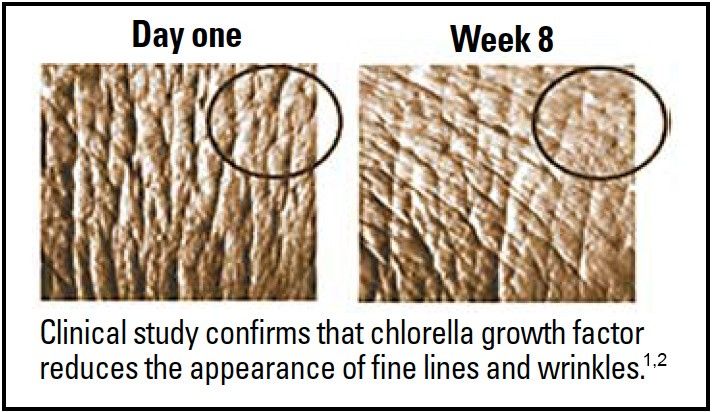 Chlorella Growth Factor clinical study result
