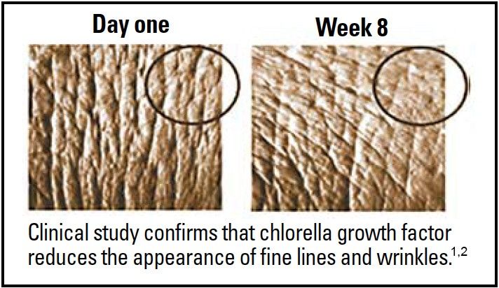 Chlorella Growth Factor clinical study result Chlorella Growth Factor clinical study result