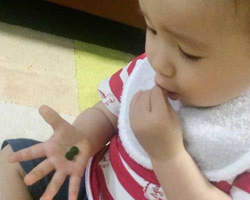 Baby holding a Chlorella tablet - Sun Chlorella USA