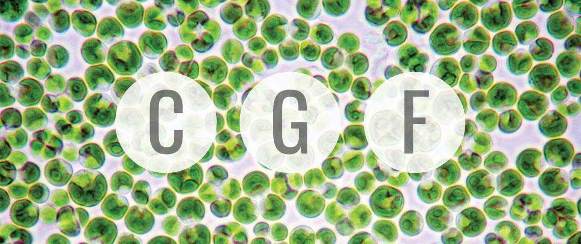 &quot;CGF&quot; Letters in Circles Over Background of Green Chlorella Cells