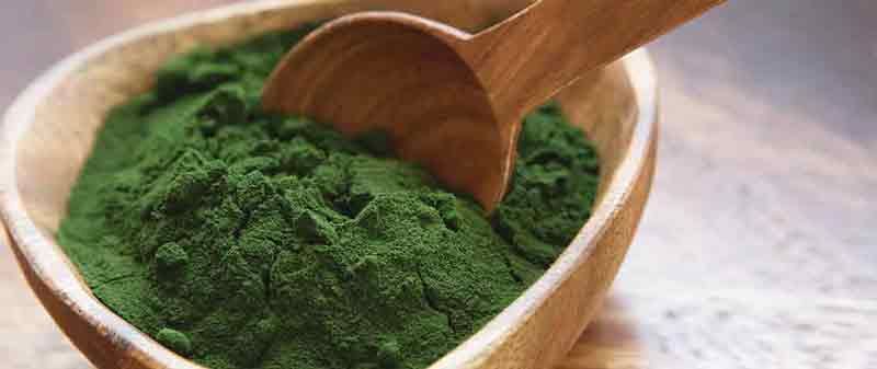Image of chlorella in a mixing bowl