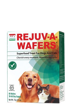 Chlorella Pet Supplements Box