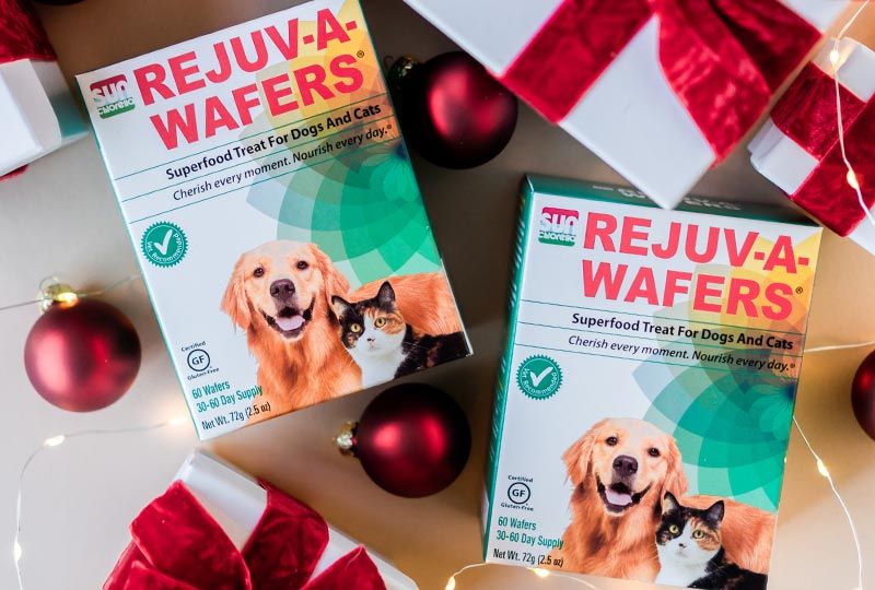 Happy Pets Holiday Deal includes 2 boxes of Rejuv-A-Wafers (60 wafers per box)!