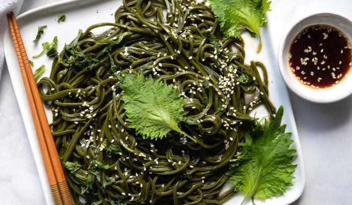 Sesame Shiso Chlorella Udon Noodles Sesame Shiso Chlorella Udon Noodles