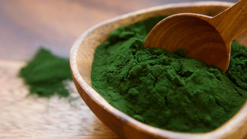 A picture of chlorella powder