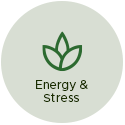 Energy and Stress