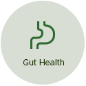 Gut Health