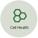 Cell Health