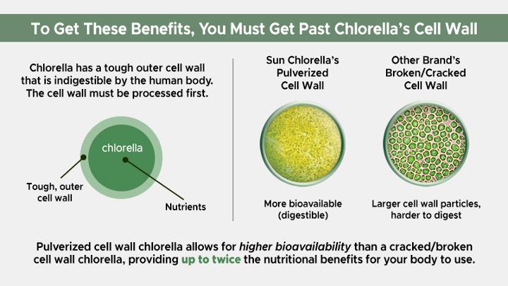 To get the benefits of chlorella, you must get past chlorella's outer cell wall