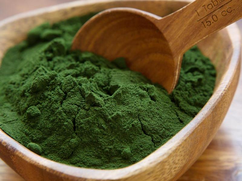 A spoon scooping up Sun Chlorella Powder from a bowl