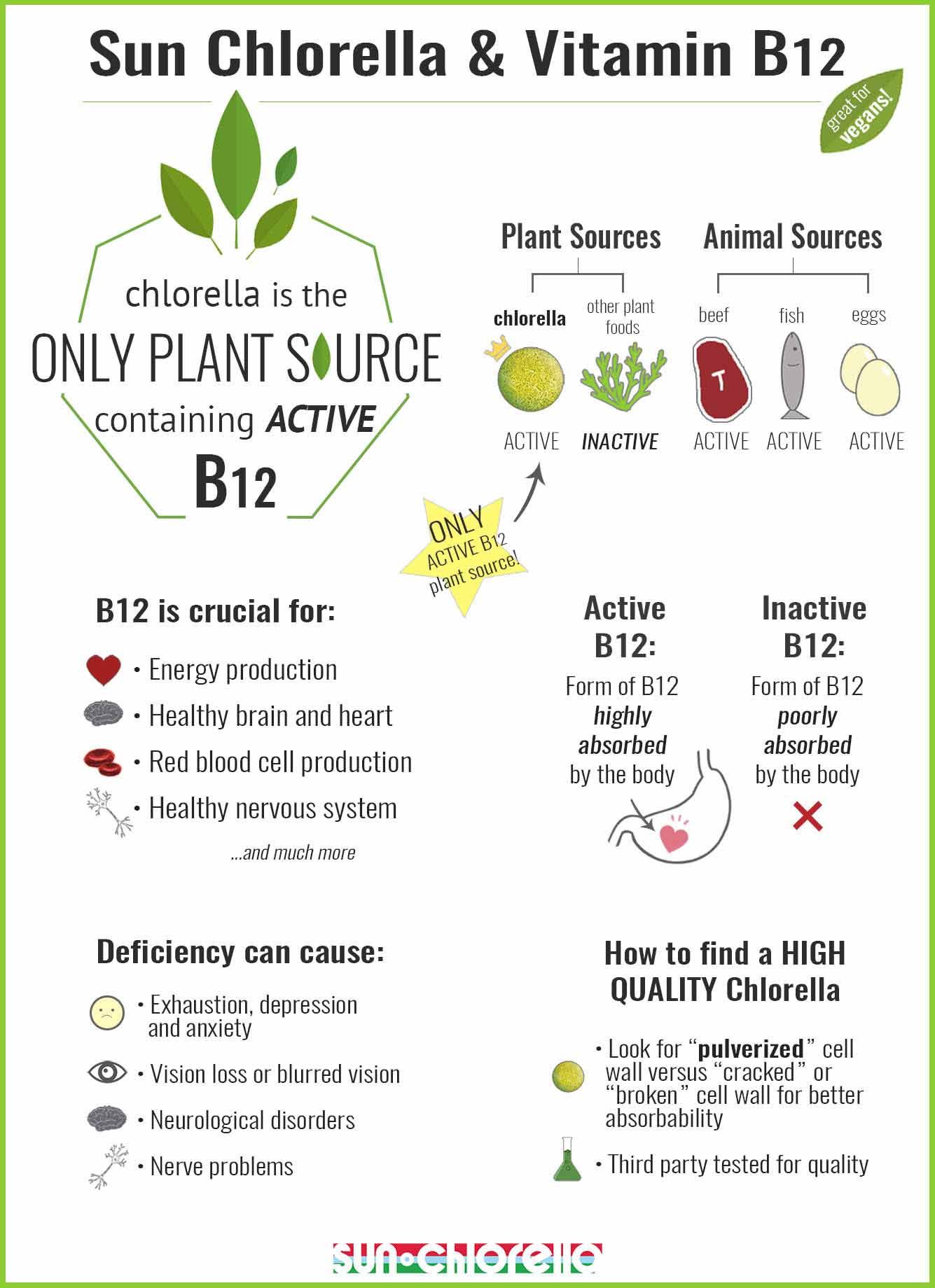 Infographic covering B12 and Chlorella nutrition facts