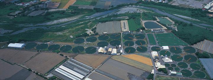A picture of the Chlorella factory