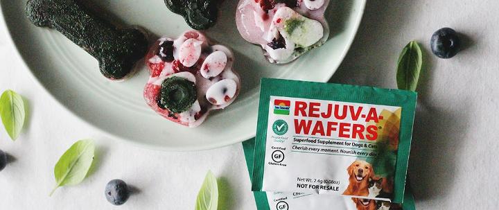 Rejuv-A-Wafer product next dog treats