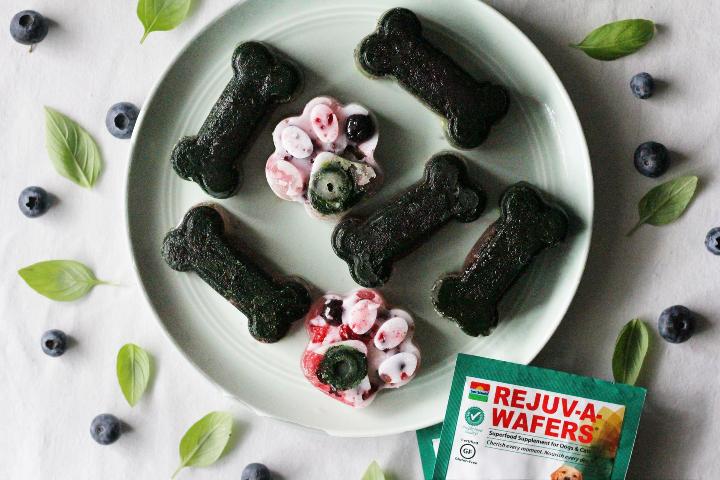 Frozen Chlorella Dog Treats