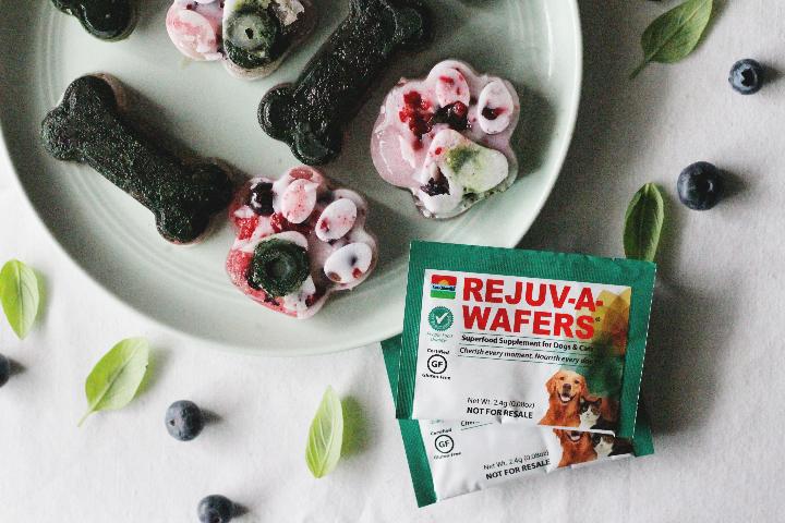 Rejuv-A-Wafers next to pet treats