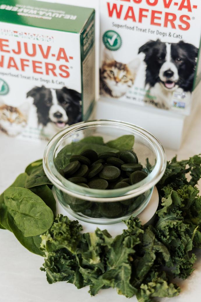Rejuv-A-Wafers Chlorella Superfood Treat for Pets 120 Wafers Best Deal 