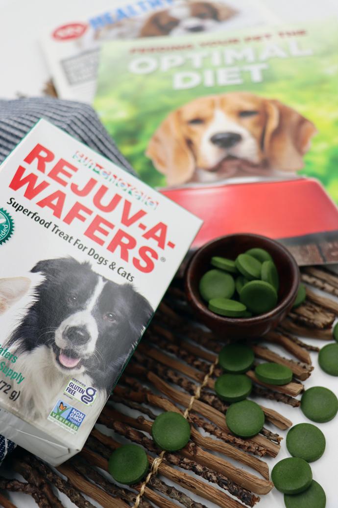 Rejuv-A-Wafers Chlorella for Pets, two special reports, and a small bowl of wafers