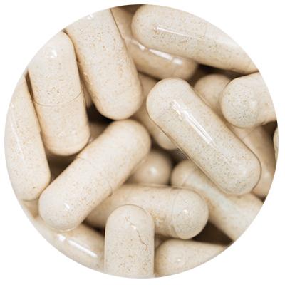 Sun Neuro plasmalogen capsules