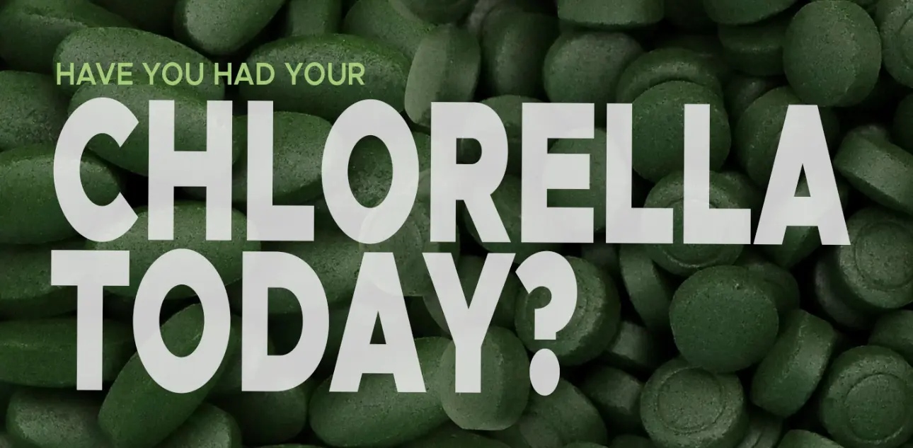 Have you had your Chlorella today? Find your best quality Chlorella supplement that fit your lifestyle. 