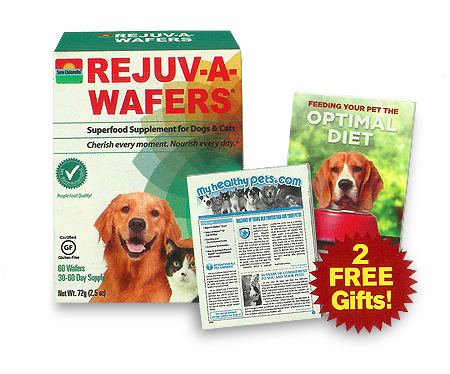 Rejuv-A-Wafers - Good Deal PGD1